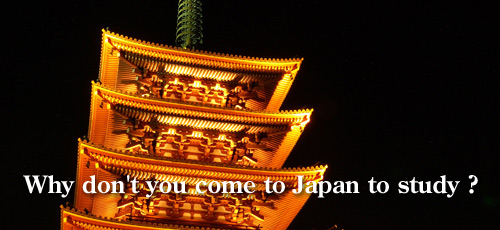 Why don't you come to Japan to study ?