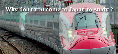 Why don't you come to Japan to study ?